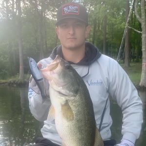 Meet your Posher, Jake